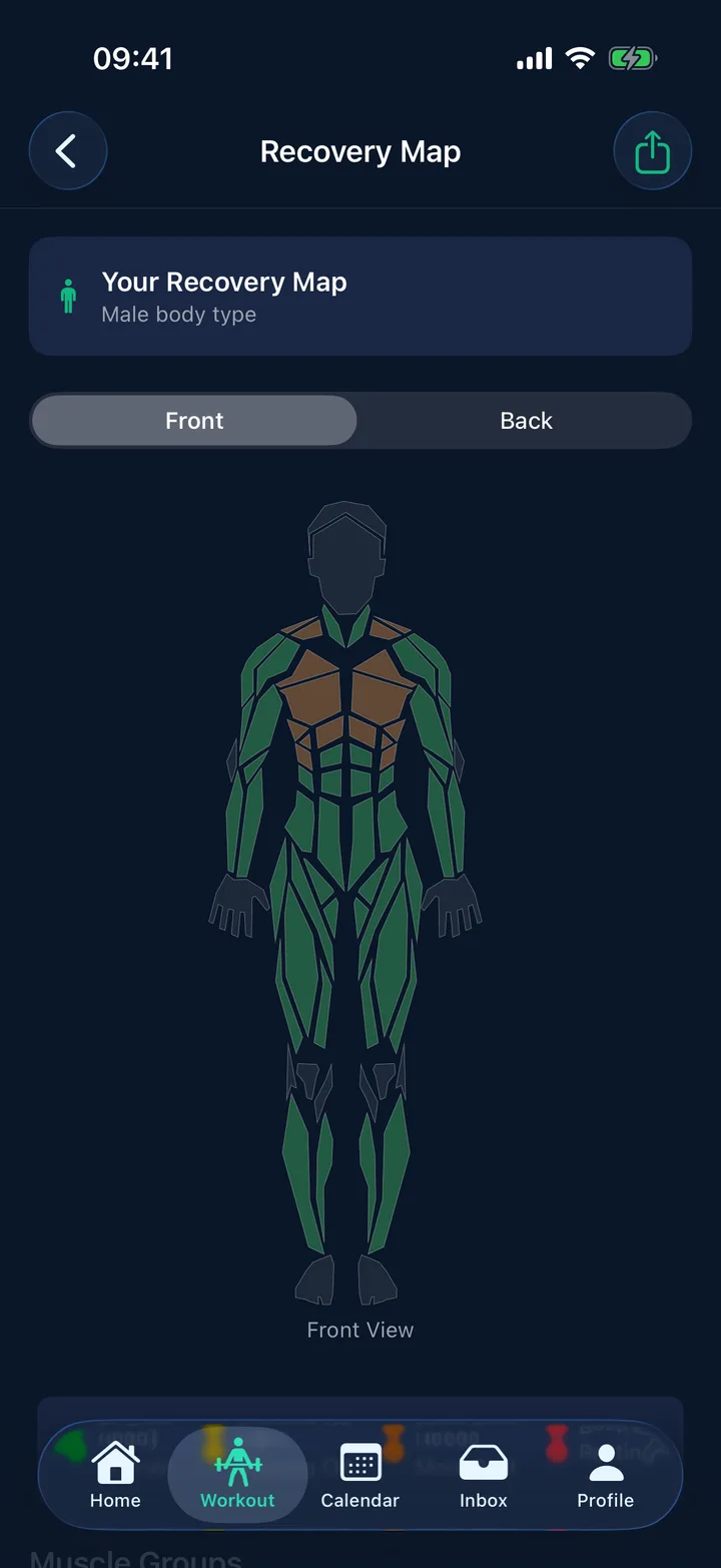 StayFit muscle recovery map showing which muscle groups are ready to train